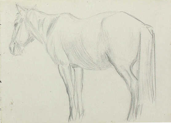 Исупов Алексей Владимирович. Лот из пяти листов с этюдами (теленок, два наброска с лошадьми, пейзаж в деревне, лес весной)